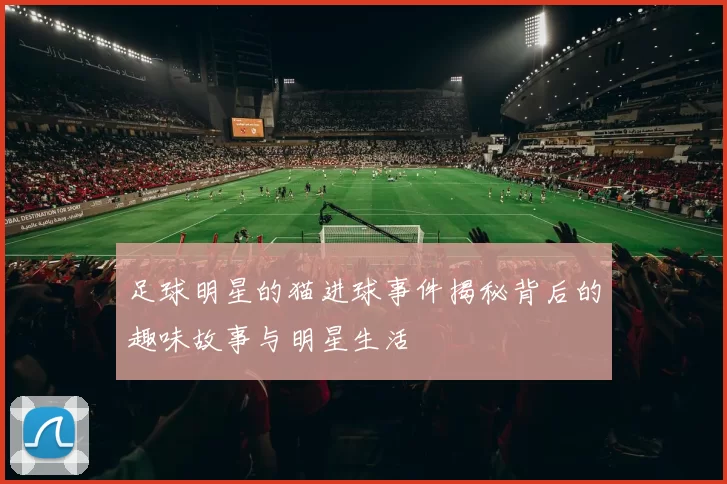足球明星的猫进球事件揭秘背后的趣味故事与明星生活