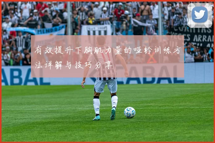 有效提升下胸肌力量的哑铃训练方法详解与技巧分享