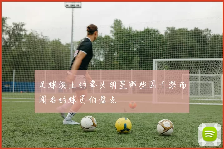 足球场上的拳头明星那些因干架而闻名的球员们盘点